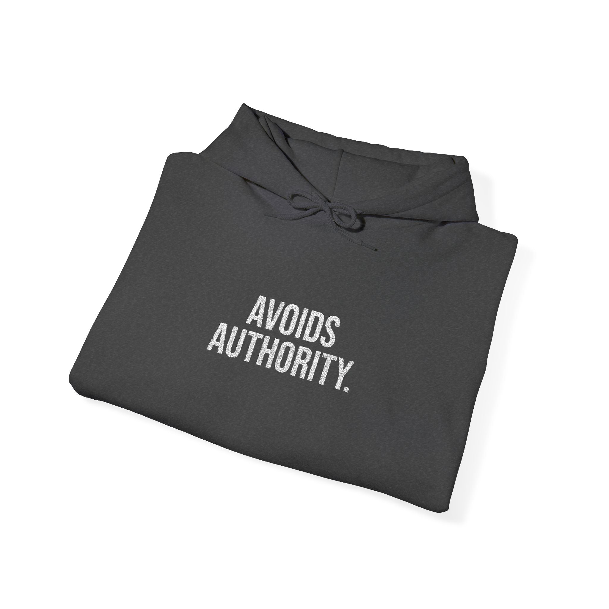 Avoids Authority Hoodie — Rebellious Embroidered Pullover