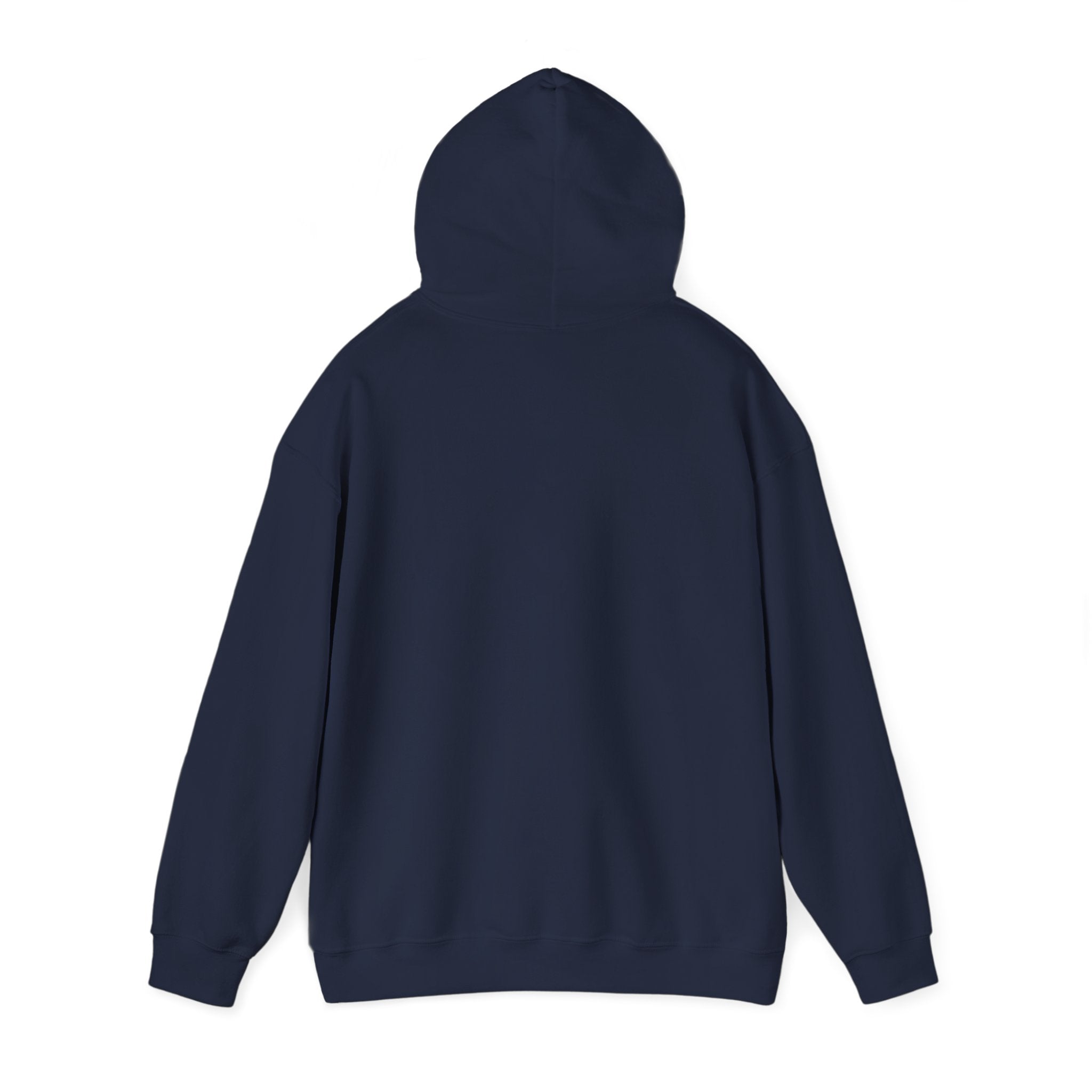 Messenger Otter Hoodie — Urban Wildlife Graphic Sweatshirt
