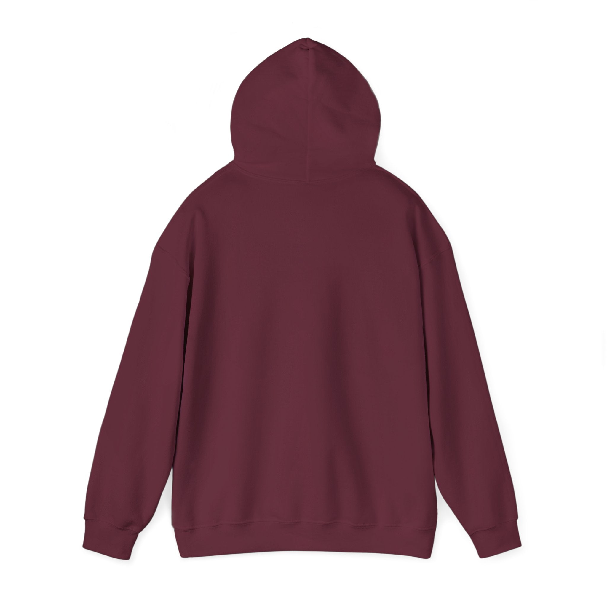 Messenger Otter Hoodie — Urban Wildlife Graphic Sweatshirt