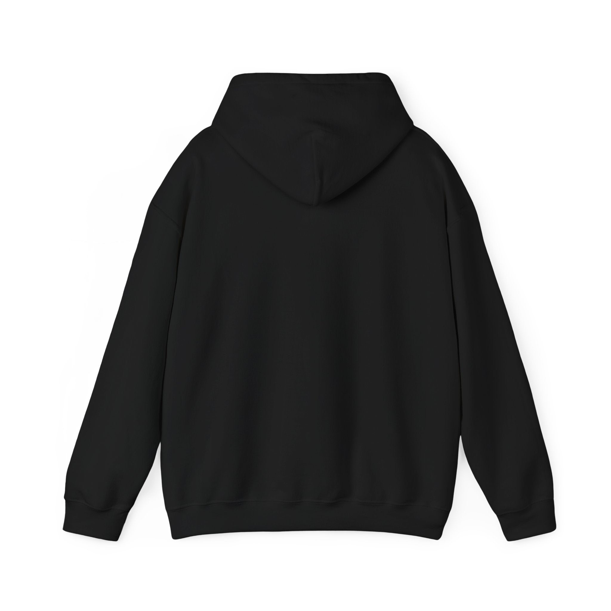 Messenger Otter Hoodie — Urban Wildlife Graphic Sweatshirt