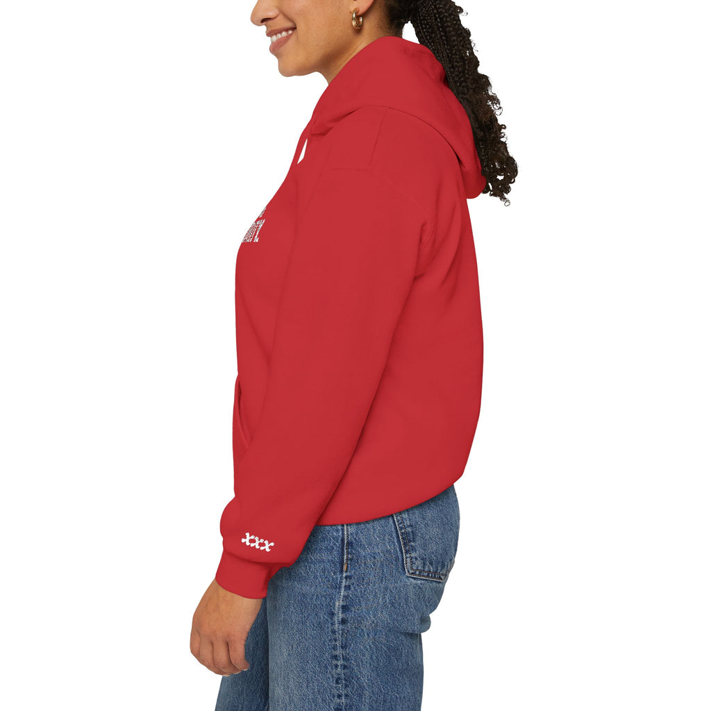 Avoids Authority Hoodie — Rebellious Embroidered Pullover