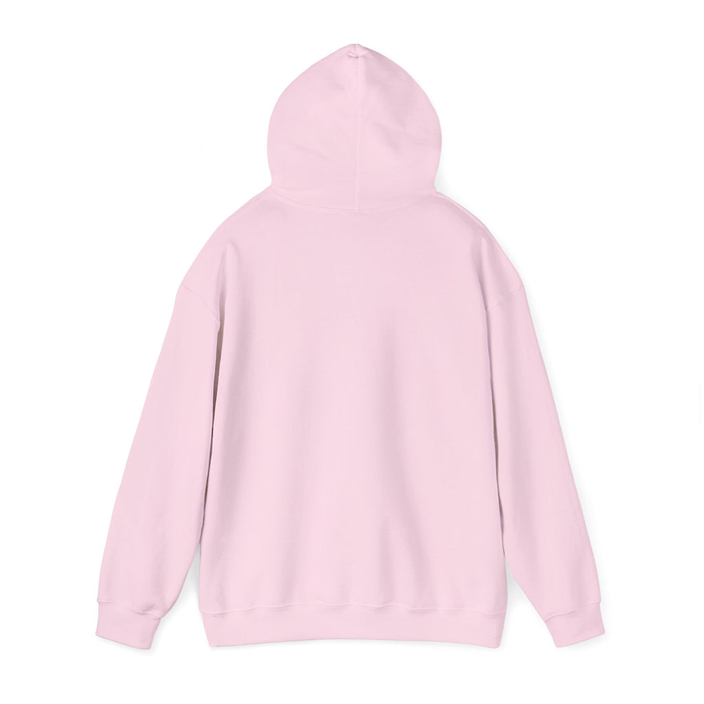 Messenger Otter Hoodie — Urban Wildlife Graphic Sweatshirt