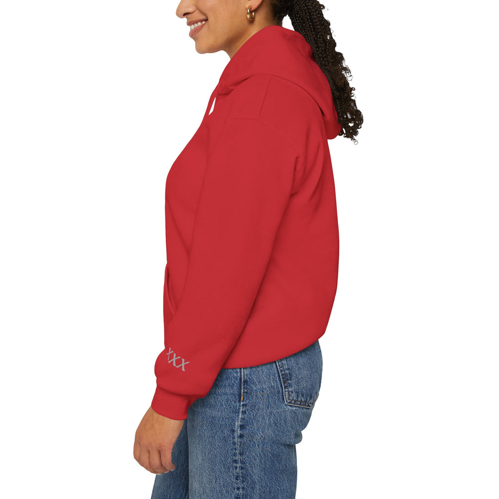 For Science Hoodie — Vintage ' FOR SCIENCE' Pullover