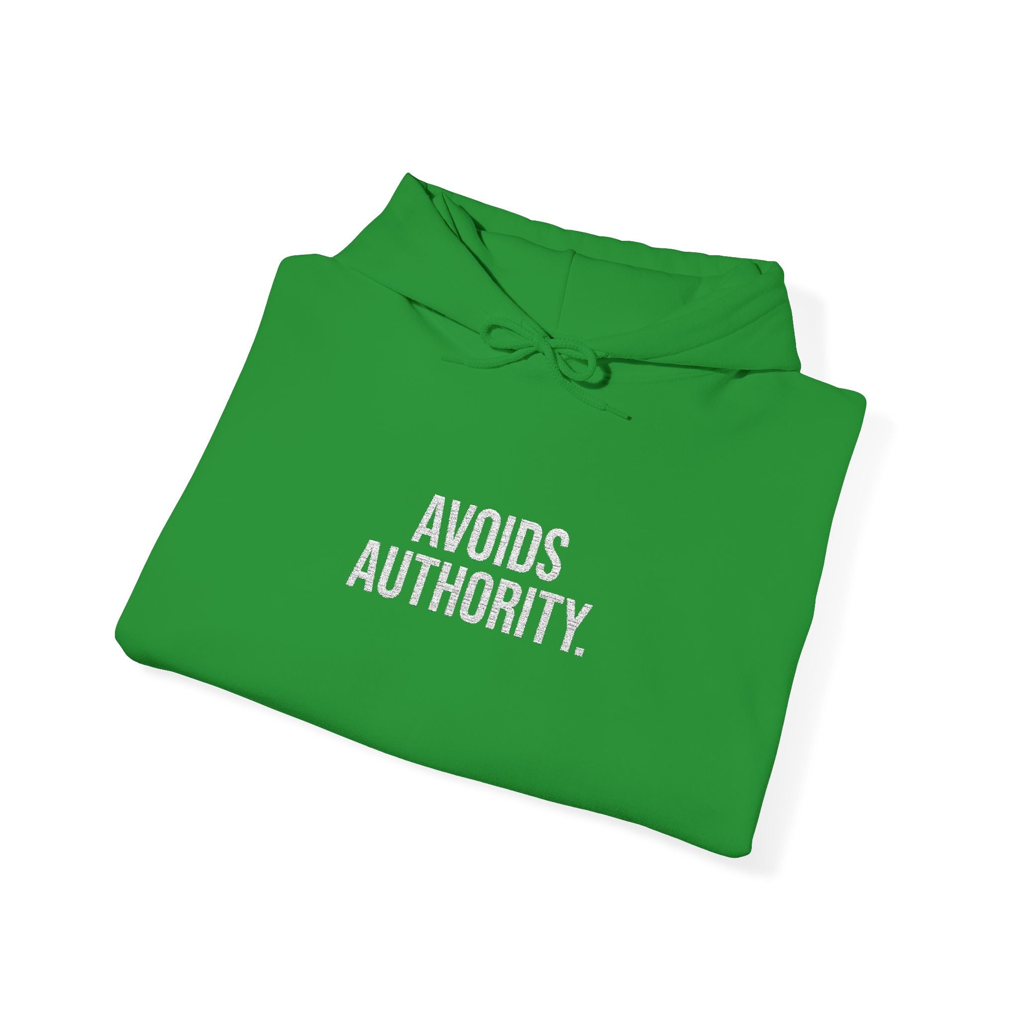 Avoids Authority Hoodie — Rebellious Embroidered Pullover