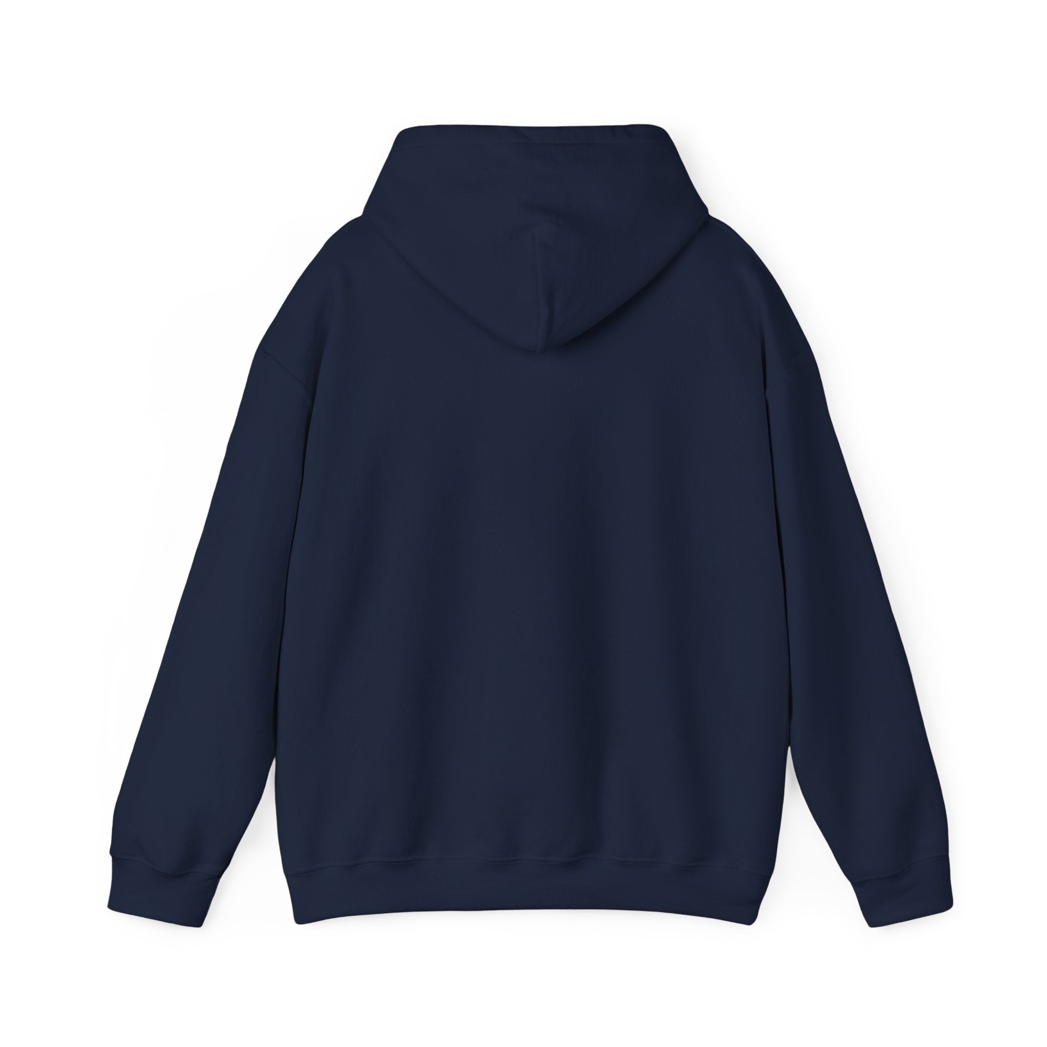 Messenger Otter Hoodie — Urban Wildlife Graphic Sweatshirt
