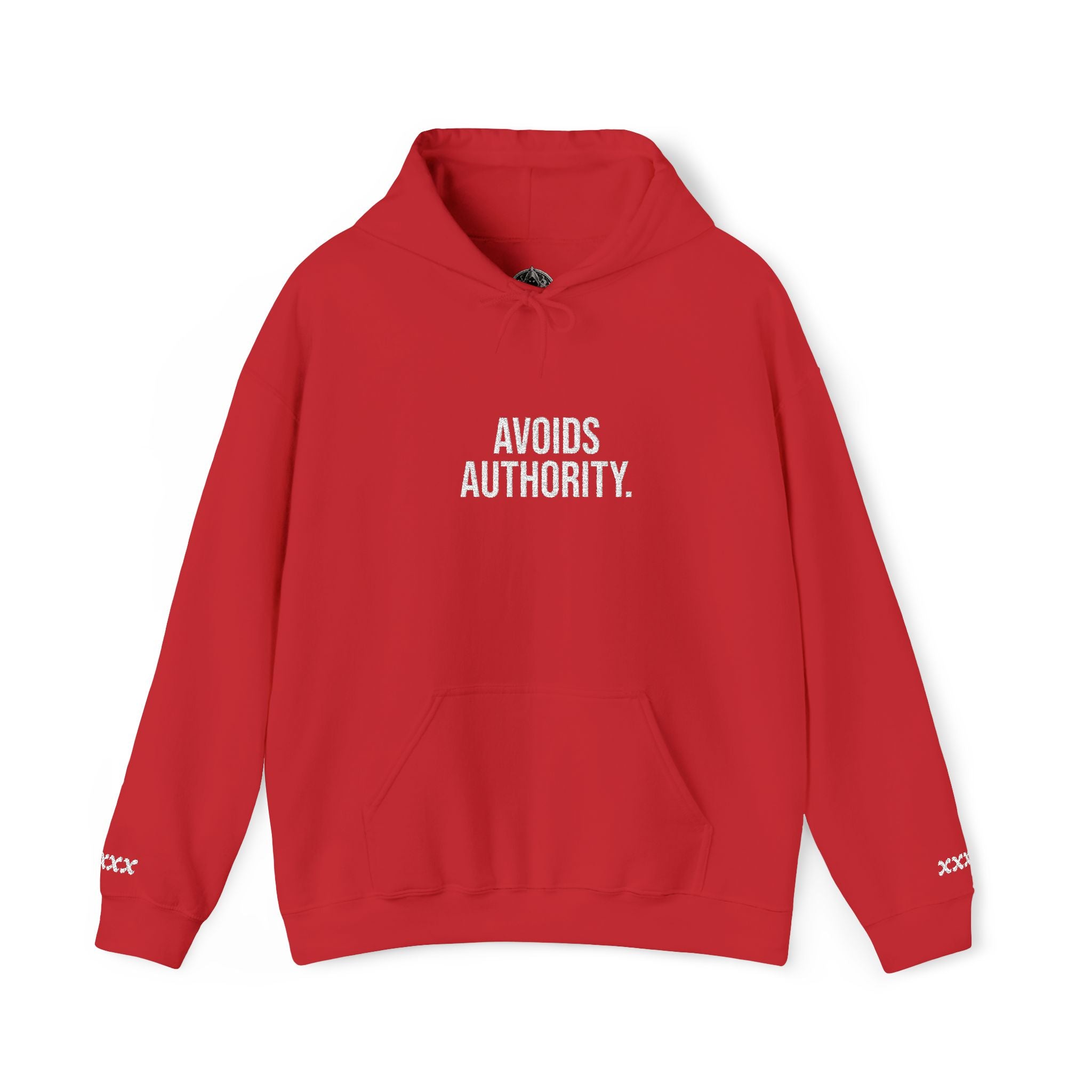 Avoids Authority Hoodie — Rebellious Embroidered Pullover