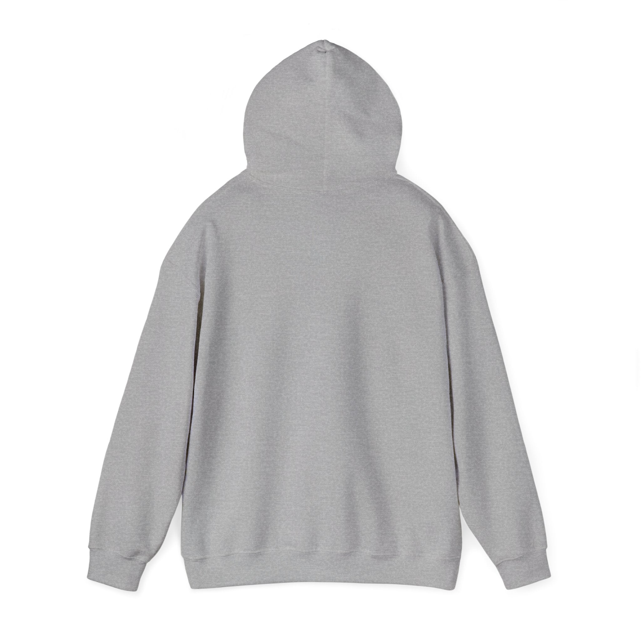 Messenger Otter Hoodie — Urban Wildlife Graphic Sweatshirt