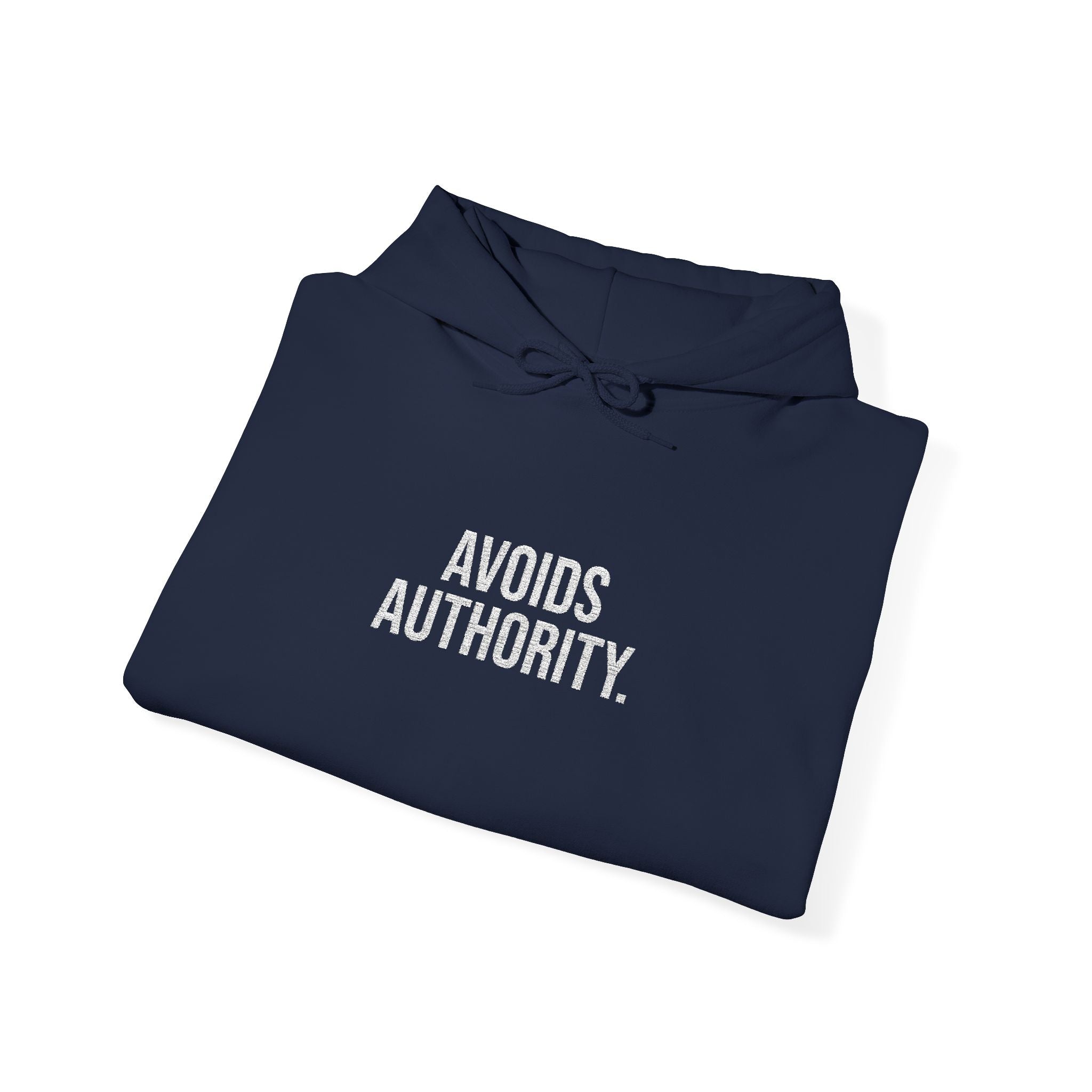 Avoids Authority Hoodie — Rebellious Embroidered Pullover