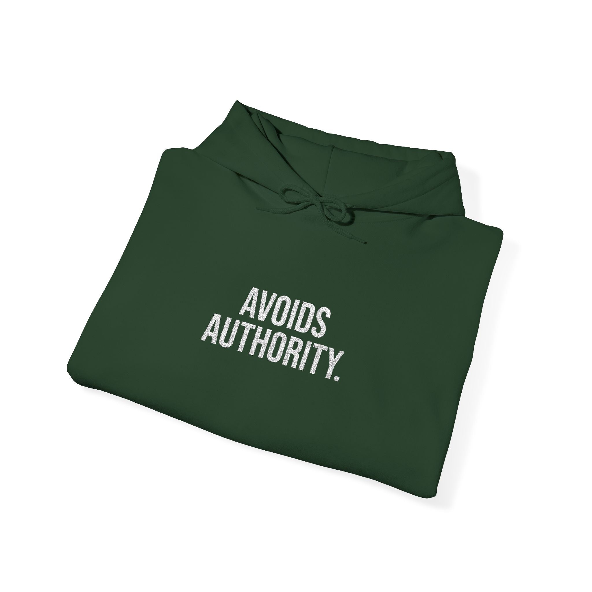 Avoids Authority Hoodie — Rebellious Embroidered Pullover