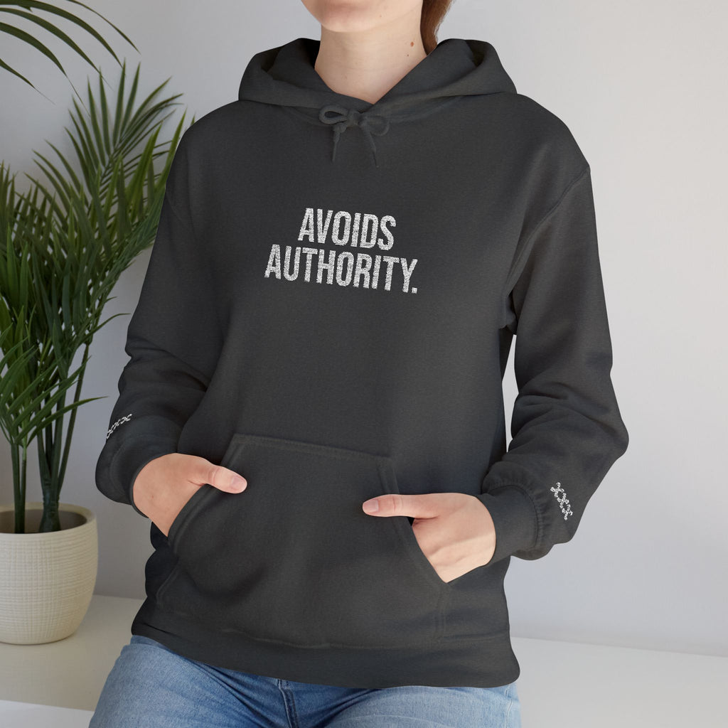 Avoids Authority Hoodie — Rebellious Embroidered Pullover