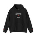 Corruptor of Souls Hoodie — Gothic Black Embroidered Pullover with Red Accent