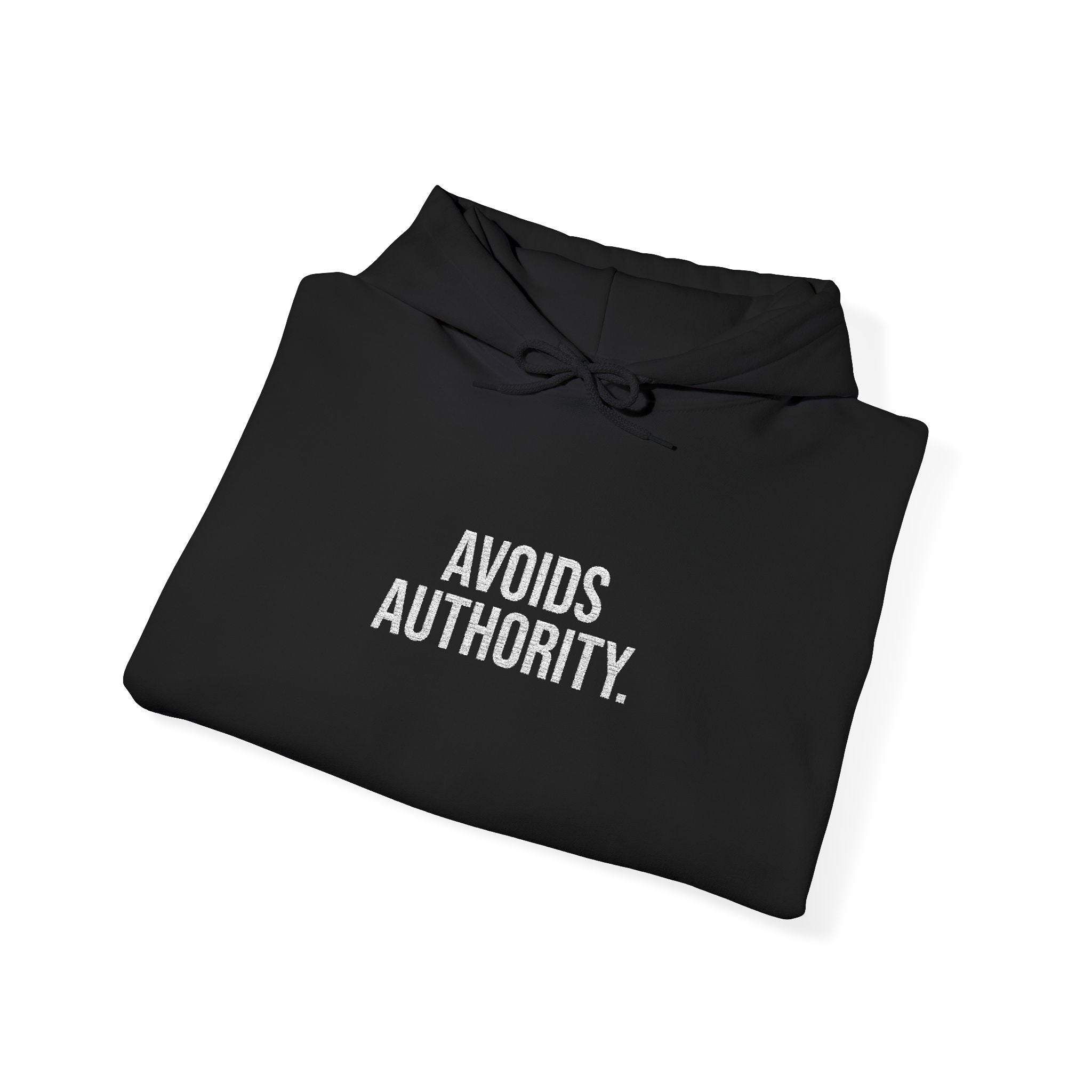 Avoids Authority Hoodie — Rebellious Embroidered Pullover