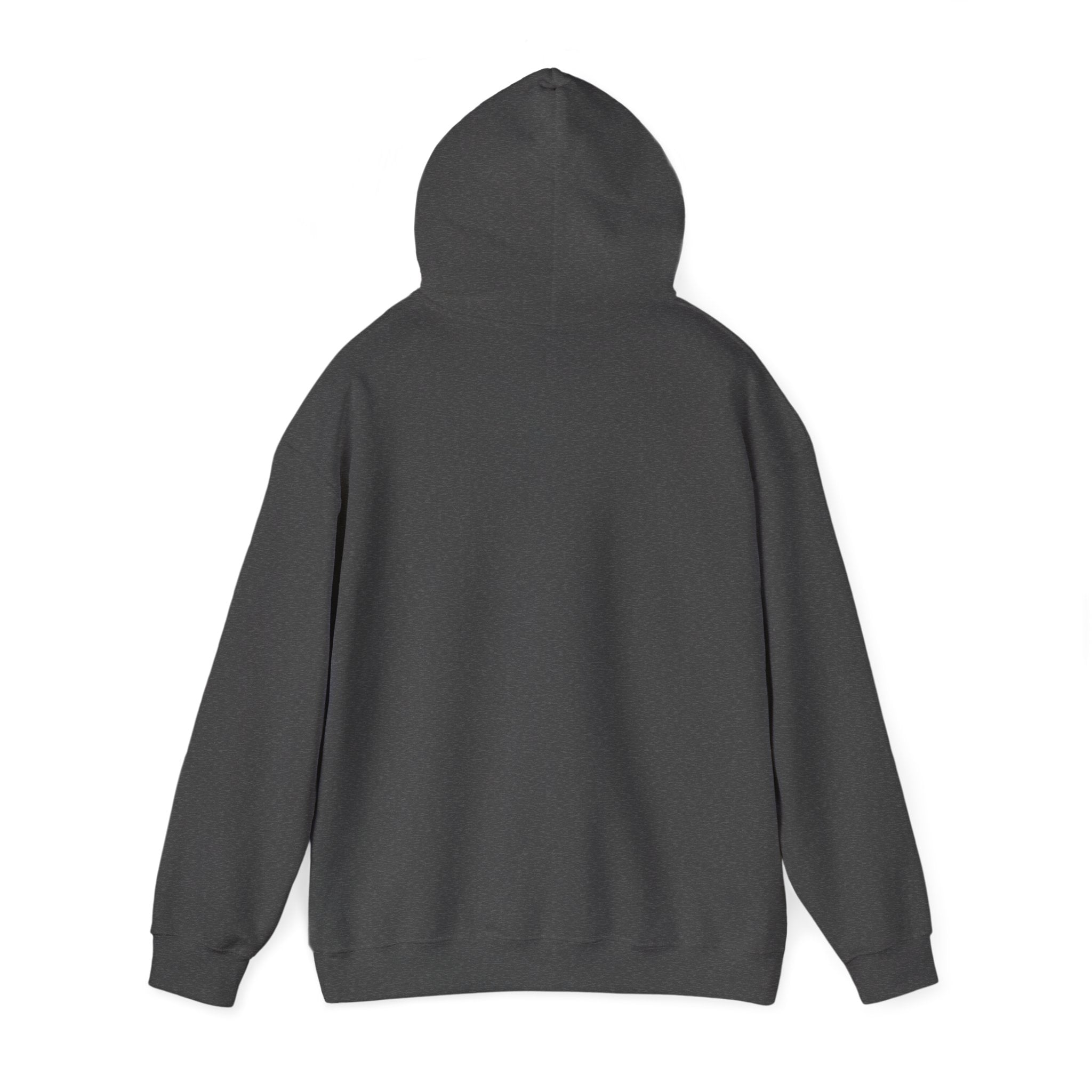 Messenger Otter Hoodie — Urban Wildlife Graphic Sweatshirt