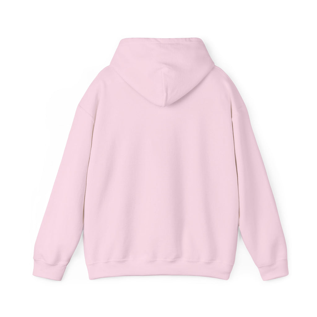 Messenger Otter Hoodie — Urban Wildlife Graphic Sweatshirt