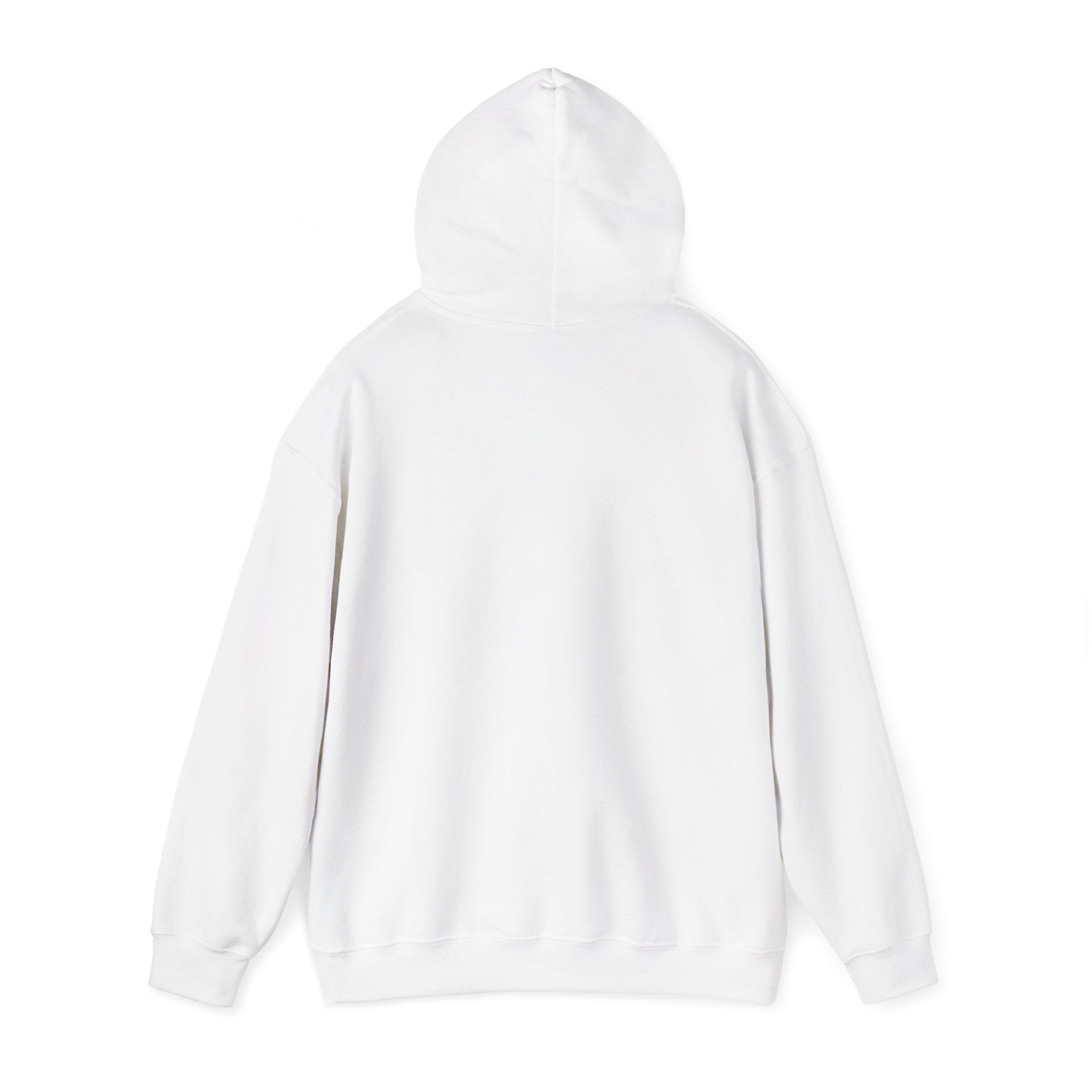 Messenger Otter Hoodie — Urban Wildlife Graphic Sweatshirt