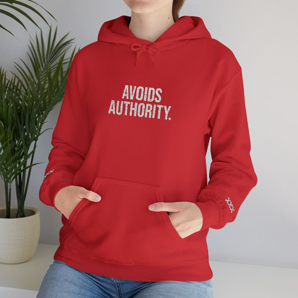 Avoids Authority Hoodie — Rebellious Embroidered Pullover
