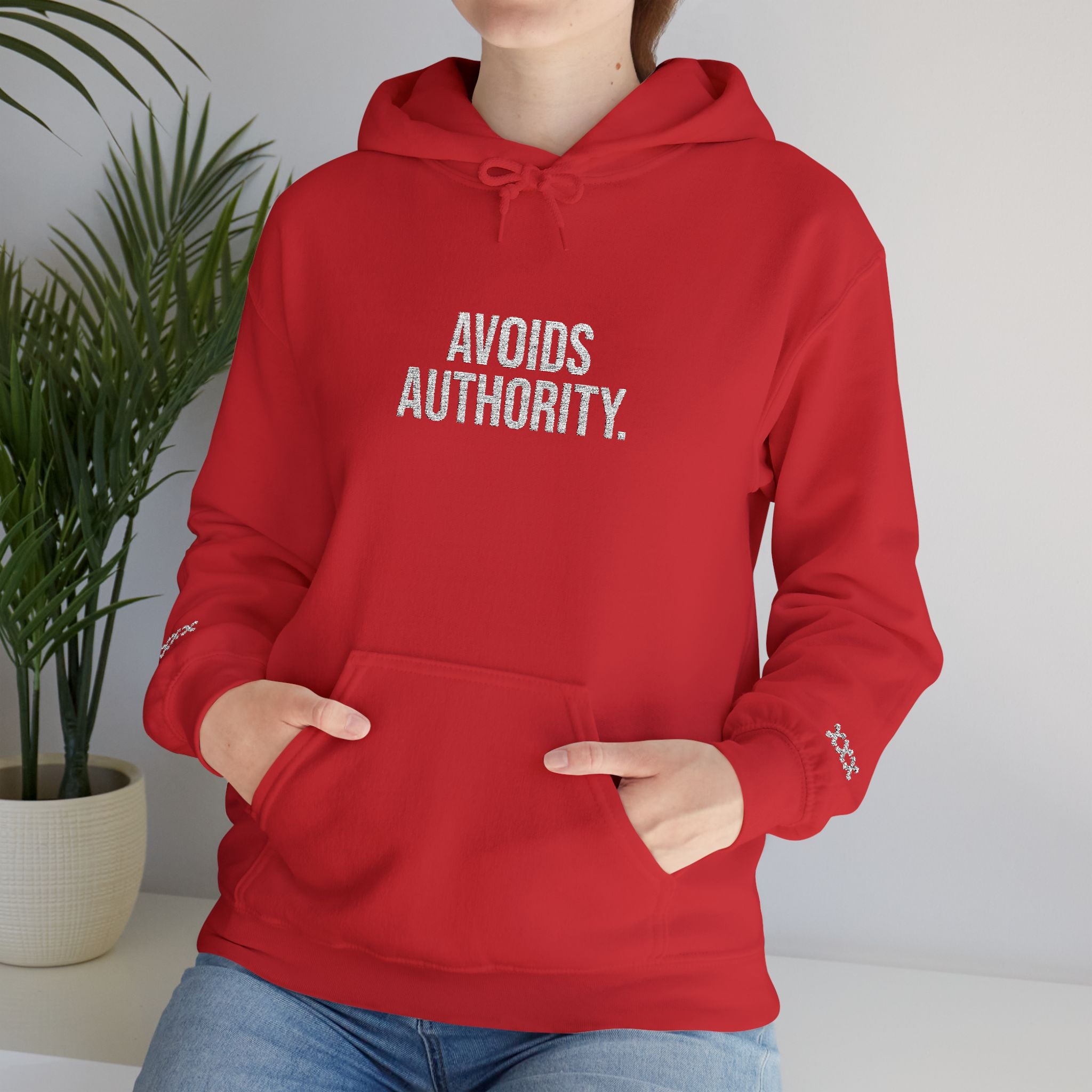 Avoids Authority Hoodie — Rebellious Embroidered Pullover