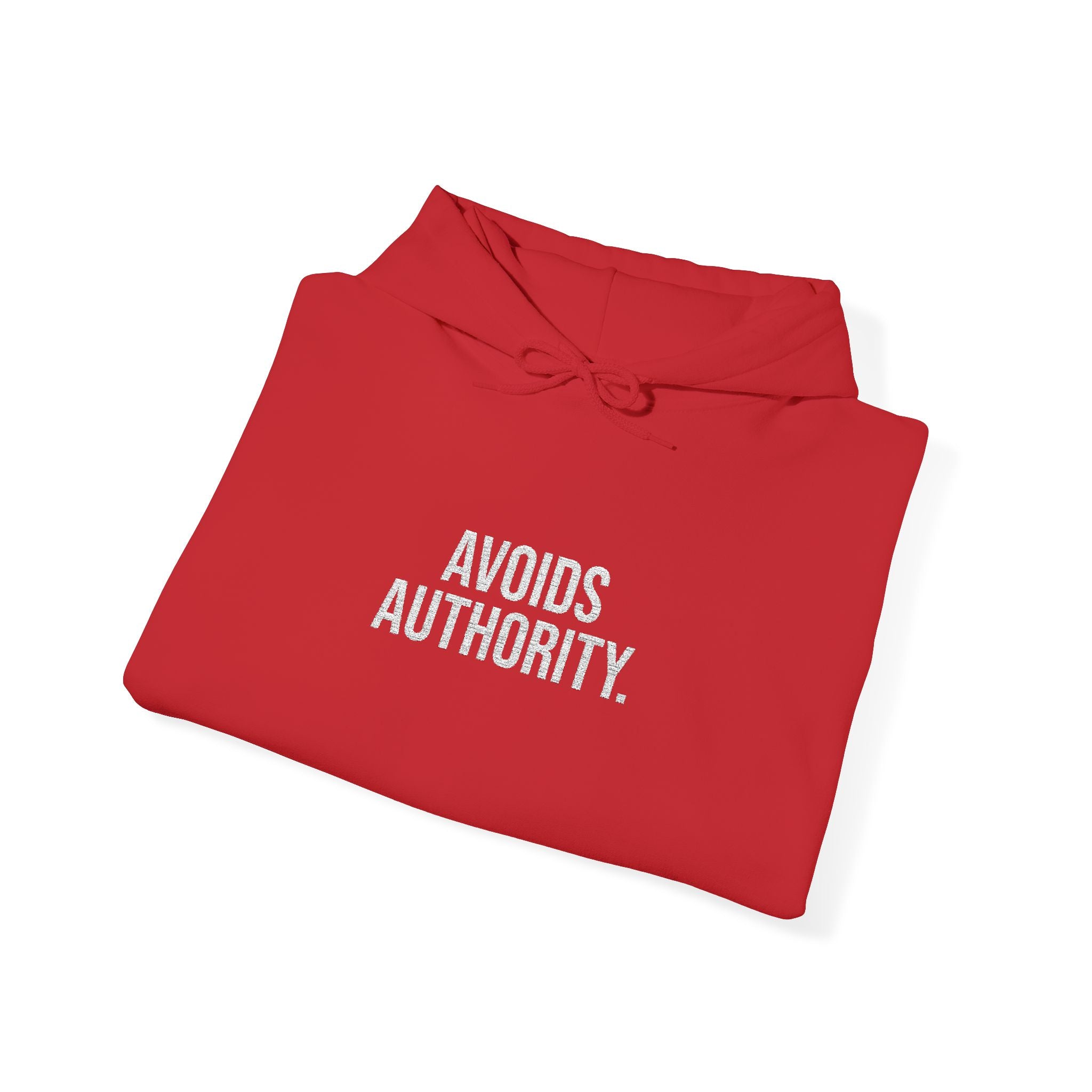 Avoids Authority Hoodie — Rebellious Embroidered Pullover