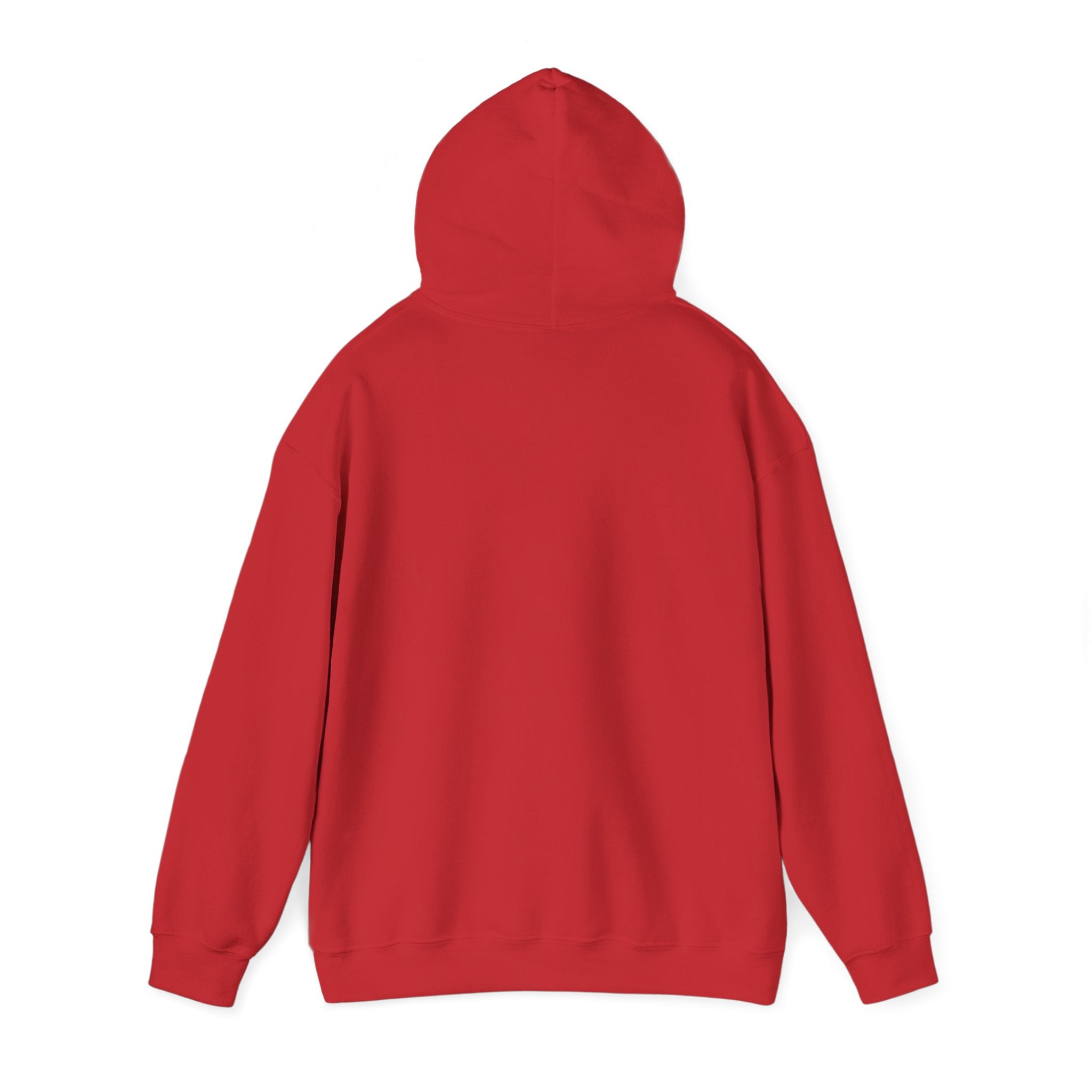 Messenger Otter Hoodie — Urban Wildlife Graphic Sweatshirt